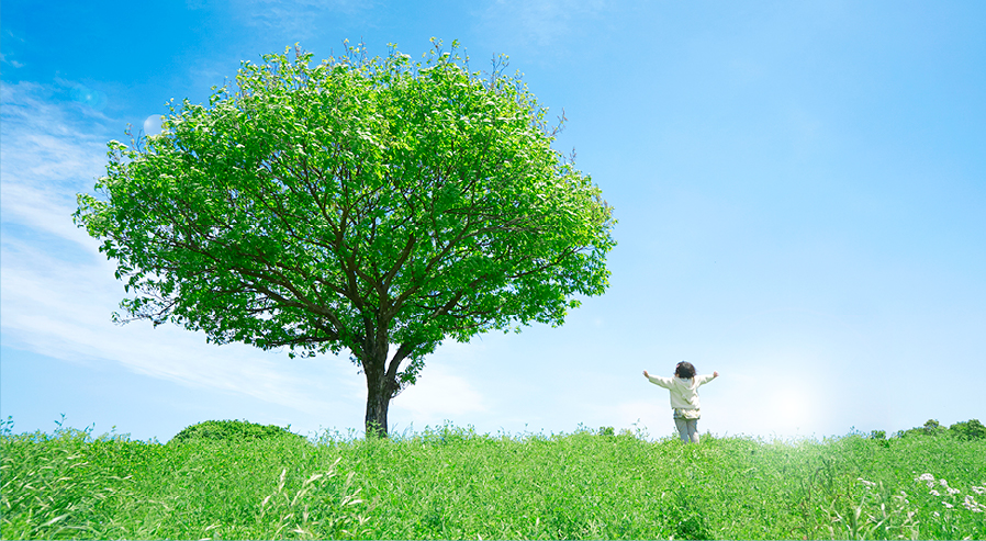 クリーンなエネルギーをみんなのもとに